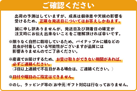 【予約受付】《2024年5月下旬～7月中旬発送》最高糖度18度！？ 完熟の極 石垣島産ジュワリーパイン TF-16