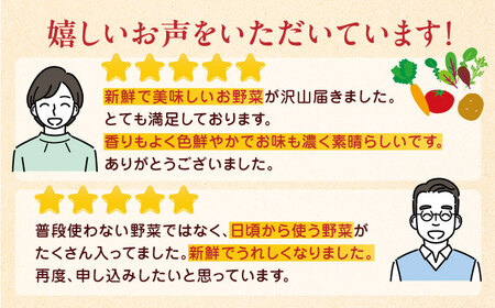 【全6回定期便】オーガニック 野菜 セット 8種【株式会社 肥後やまと】[YAF029]