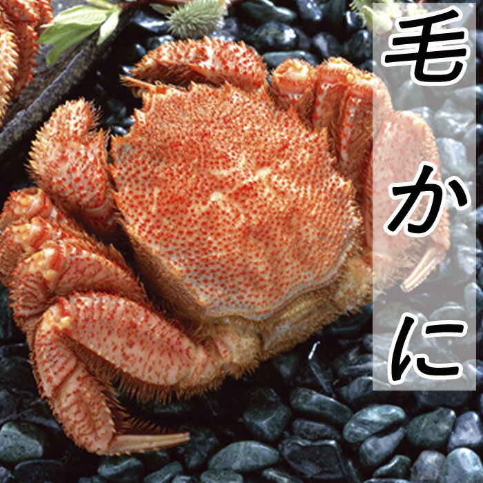 【ふるさと納税】毛かに400g前後〜550g前後×(1尾〜6尾) 選べる 毛ガニ 蟹 カニ 海鮮 北海道 根室市