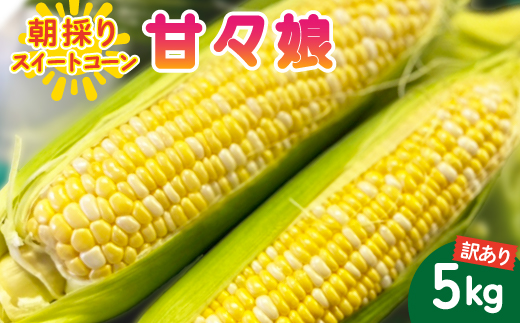 【2026年6月～7月順次発送】とうもろこし 約5kg 甘々娘(訳あり) 朝採り スイートコーン【配送不可地域：離島・北海道・沖縄県・東北・中国・四国・九州】