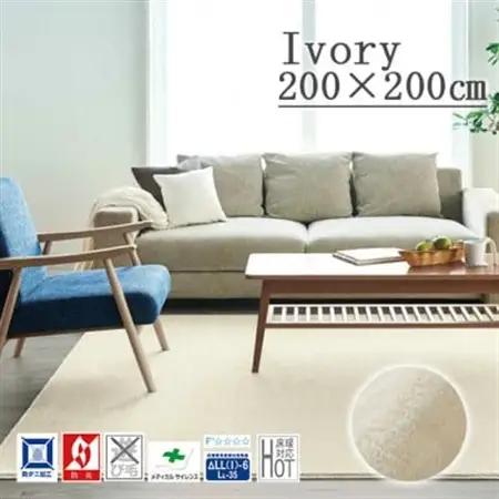 カーペットラグ 【200×200cm】 なめらかタッチ (カーム) アイボリー【1731852】