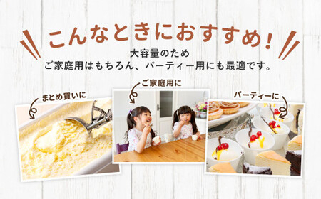 ＜ R8年熊本地震復興支援 ＞ バニラアイスクリーム 2L
