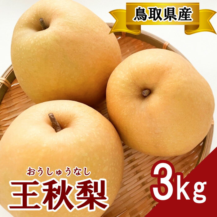 【ふるさと納税】プレミアム王秋梨　3kg　TS14