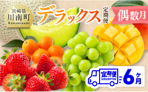 デラックス 定期便 【偶数月】【 川南町産 きんかん いちご 完熟 マンゴー ぶどう シャイン マスカット メロン 全6回定期便 】