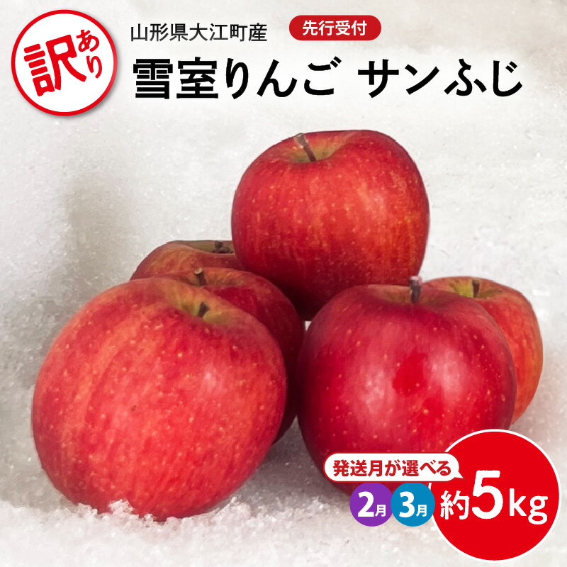 【ふるさと納税】《先行受付》 訳あり 雪室りんごサンふじ 約5kg 選べるお届け時期 2月 3月【大江町産・山形りんご・大地農産】
