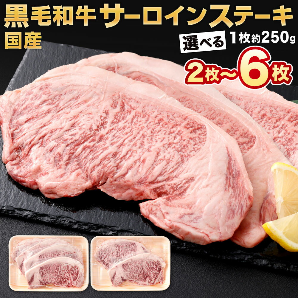 【ふるさと納税】黒毛和牛 サーロインステーキ 1枚約250g 選べる 2枚 / 4枚 / 6枚 牛肉 お肉 国産牛 和牛 牛ステーキ 焼肉 焼き肉 バーベーキュー BBQ 特別 お祝い 冷凍 国産 福岡県北九州市