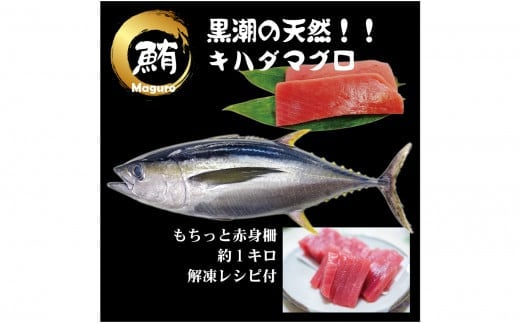 
            天然 キハダマグロ 赤身 柵 約1kg (2～4柵) 刺身 海鮮 簡単調理｜まぐろ 鮪 天然まぐろ 刺し身 大容量 お刺身 寿司ネタ 寿司 マグロ丼 ステーキ カツ ヘルシー 冷凍便 グルメ 解凍レシピつき 鮮度抜群 高知県産 大月町 国産
          