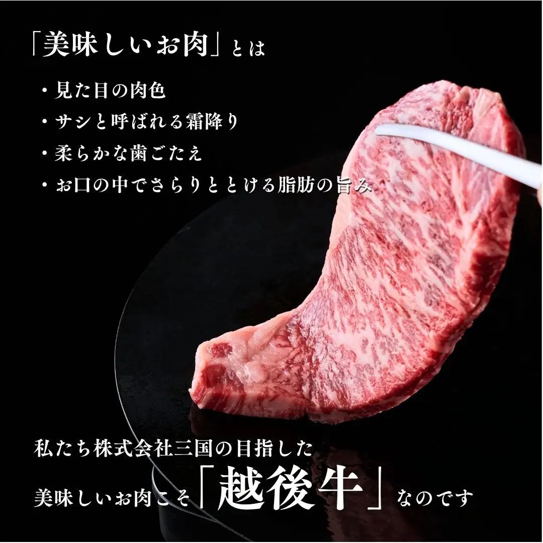 新潟 越後牛 2種  計700g 三国 | 冷凍 バラ肉 ロースステーキ 新潟県 小千谷市