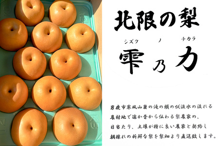 【令和8年度 早期受付】 南水 約5kg 10月中旬～11月中旬発送 梨 旬の果物 ギフト 秋田県 男鹿市 男鹿ファーム直売所