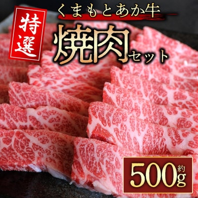 【毎月定期便】厳選されたGI認証　くまもとあか牛　特選焼肉用　500g(阿蘇市)全3回【配送不可地域：離島】【4053059】