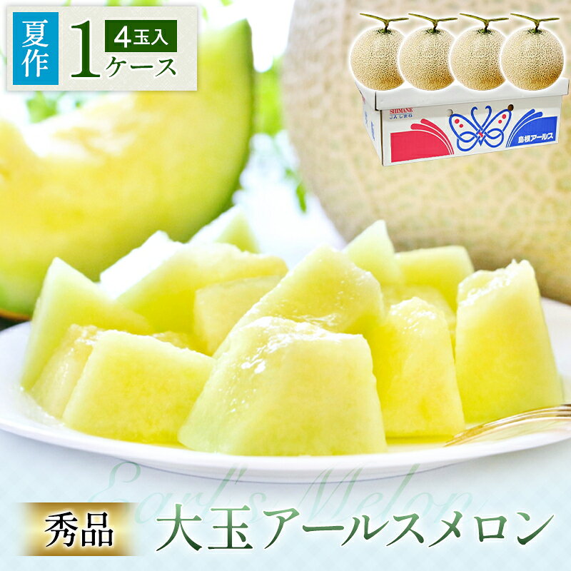 【ふるさと納税】 アールスメロン 秀品 4玉 1ケース 先行予約 果物 フルーツ メロン 夏作 高糖度 糖度14度以上 季節限定 期間限定 特産品 お取り寄せ グルメ