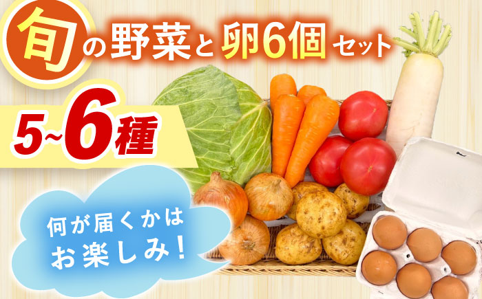 採れたてお野菜おまかせ（5～6種）・卵6個セット/ 野菜 やさい 野菜セット 野菜詰め合わせ 詰め合わせ セット たまご 卵 タマゴ 紅たまご こだまさんち / 大村市 / かとりストアー [ACAN