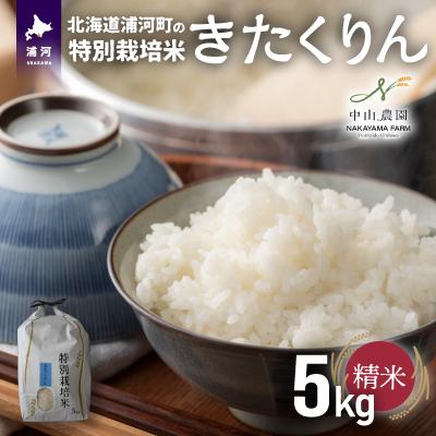 ふるさと納税 浦河町 【先行受付開始!】浦河の特別栽培米「きたくりん」精米(5kg×1袋)[37-1370]