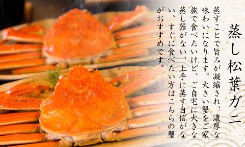 【蒸し】松葉ガニ 大1枚 訳あり ご自宅用 (800～940g前後) ズワイガニ かに TM12 0722