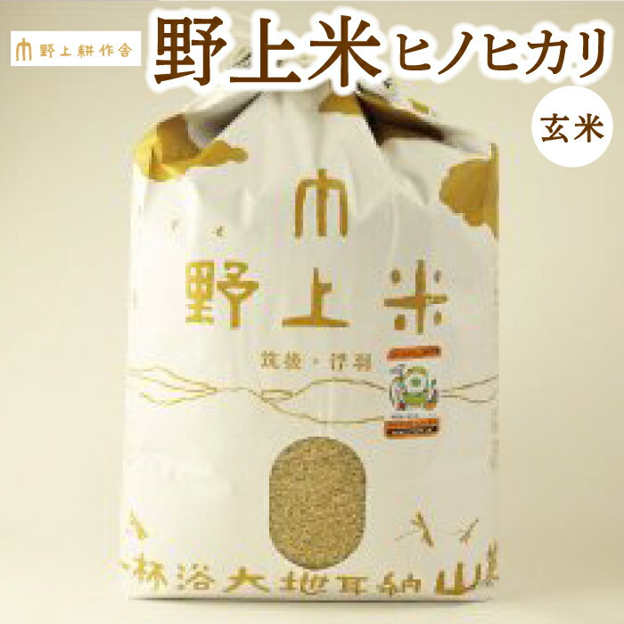 【ふるさと納税】【指定日必須】〈選べる容量〉野上耕作舎 野上米 ヒノヒカリ 玄米 3kg・5kg・10kg 米 お米 ご飯 ひのひかり 常温 送料無料 福岡県 うきは市