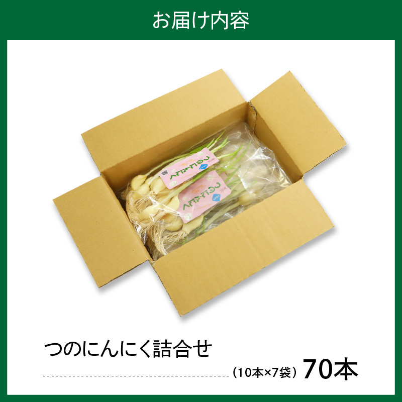 つのにんにく 10本 × 7袋 計70本 発芽にんにく 水耕 栽培 スプラウト にんにく ニンニク 山形県 米沢市