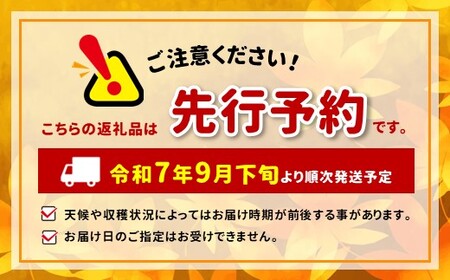 【2025年先行予約】訳あり トキ 3kg ｜ リンゴ りんご 林檎 果物 くだもの フルーツ 果実 果汁トキ 訳あり 長野県 松川村 信州