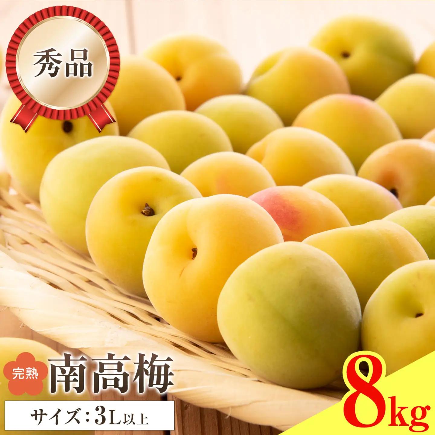 紀州南高梅 秀品 (完熟) 3L 8kg 農業福祉研究機構《6月下旬-7月上旬頃出荷》