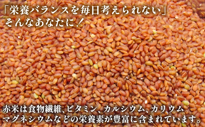 おすすめ オススメ こだわり ギフト 人気 特産品 贈り物 ギフト  