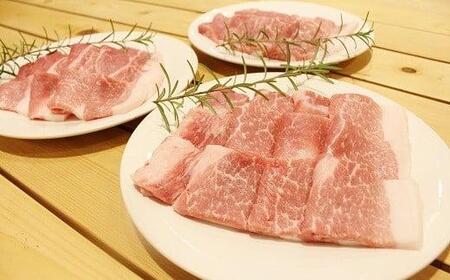 京丹波高原豚 モモ肉 焼き肉 1.3kg （豚 肉 豚肉 豚もも モモ 焼肉 焼き肉 京丹波高原豚 三元豚 ブランド豚 霜降り もも肉 焼肉 国産 ブランド 贈答 ギフト お歳暮 お中元 アウトドア 