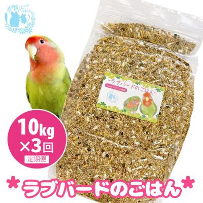 ふるさと納税 小牧市 【3ヶ月定期便】fuu ラブバードのごはん(10kg)[145S66-T]