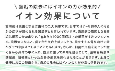 歯ブラシ 替え IONPA home 抗菌 極細 替えブラシセット レギュラー ホワイト 計24本 ionic アイオニック《30日以内に出荷予定(土日祝除く)》千葉県 流山市 送料無料 ブラシ イオ