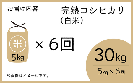 【先行予約】【令和7年産　新米】【6ヶ月定期便】くらもち完熟米 コシヒカリ 白米5kg×6回　計30kg【2025年10月より順次発送】ふるさと納税 毎月 小分け 米 5kg  30kg 6ヶ月 精米