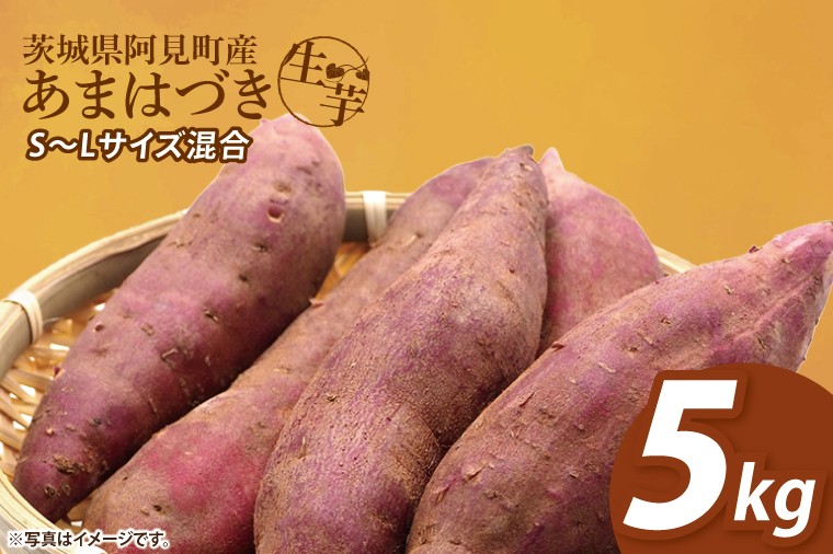 
            【12月下旬より順次発送】さつまいも あまはづき5kg【甘藷 甘い さつま芋 サツマイモ 薩摩芋 茨城県産 茨城県 阿見町】(90-02)
          