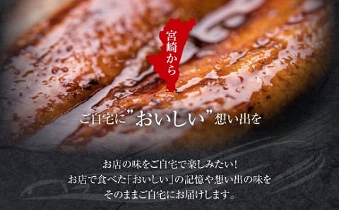 国産うなぎ使用　鰻白焼き　大サイズ（156～180g）2尾・肝焼きセット 鰻 うなぎ ウナギ 国産 白焼 白焼き うなぎ白焼き 2尾 肝焼き セット 簡単調理 湯煎 ボイル レンジ グリル フライパン