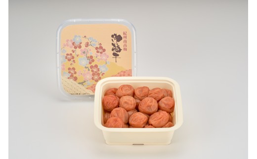 梅一番井口　紀州南高梅 はちみつ入り梅干 塩分10％ 500ｇ maruni059