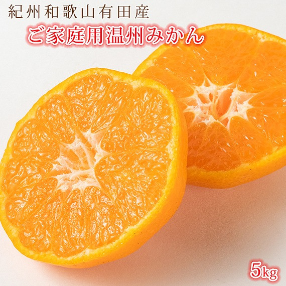 
【ご家庭用訳アリ】紀州有田産濃厚完熟温州みかん　5kg【先行予約】【UT13】
