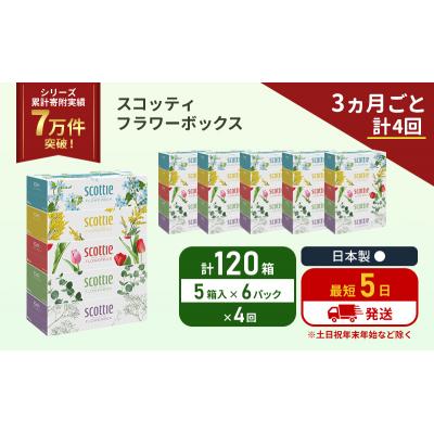 ふるさと納税 岩沼市 定期便 ティッシュ スコッティ 120箱 (5箱×6P)《計4 回》[No.5704-1137] |  | 01