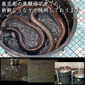 M685-2 国産うなぎ ふっくら肉厚 有頭 蒲焼 2尾 150g ウナギ 鰻 夏バテ スタミナ 真空包装 人気 オススメ 宮若市
