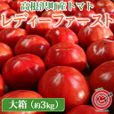 【ふるさと納税】高根沢町産トマト「レディーファースト」　大箱（約3kg　12～24玉）｜とまと 野菜 季節限定 希少 薄皮 国産 厳選 産地直送 新鮮 ハート型 送料無料※北海道・沖縄・離島への配送不可※2025年1月～3月頃に順次発送予定