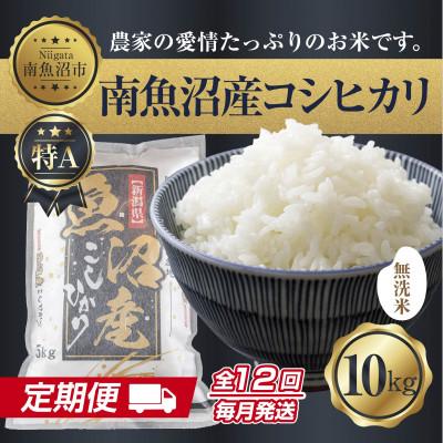 ふるさと納税 南魚沼市 【毎月定期便】無洗米 南魚沼産 コシヒカリ 精米 10kg(美味しい炊き方ガイド付)全12回