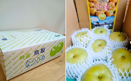 【先行予約】安田農園 梨 ”なつひめ” 3kg箱｜鳥取 岩美 梨 なし ナシ※お届けは2026年8月下旬以降【41028】