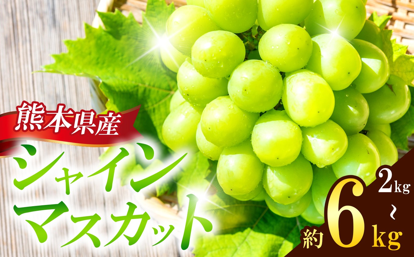 
                  選べる容量 熊本県産 シャインマスカット 約2kg 約4kg 約6kg『 かめまる食堂 』 種無し ぶどう | フルーツ 果物 くだもの ぶどう ブドウ 葡萄 シャイン マスカット 種なし 種無し 熊本県 玉名市
                