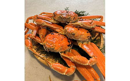 【A-16】鳥取網代港【訳あり】浜茹で！松葉ガニ2kgセット【さかなや新鮮組】