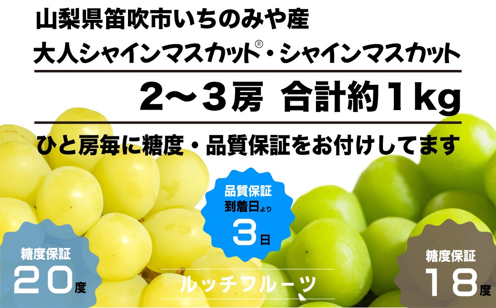 
                  2026年発送【黄色く完熟】大人シャインマスカット®食べ比べセット 合計 約1kg【数量超限定】旬の美味しいフルーツだけをお届けします【ルッチ Rucci】産地直送 山梨県 笛吹市 糖度 品質 保証 葡萄 ぶどう 新鮮 旬 くだもの 果物 フルーツ 人気 ランキング リピート 高評価 ギフト 贈答 贈り物 化粧箱 令和8年 期間限定 テレビで紹介 104-002
                