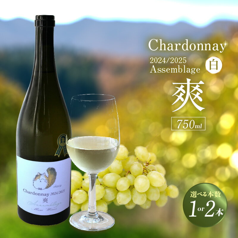 【ふるさと納税】Chardonnay 2024/2025 爽 白ワイン 750ml【選べる本数（1本・2本）】東浦町の畑で大切に育てられたシャルドネから造ったワインです。 シャルドネ 無添加 無濾過 国産 日本ワイン パーティー 亜硫酸塩(酸化防止剤)無添加 送料無料 [AH008]
