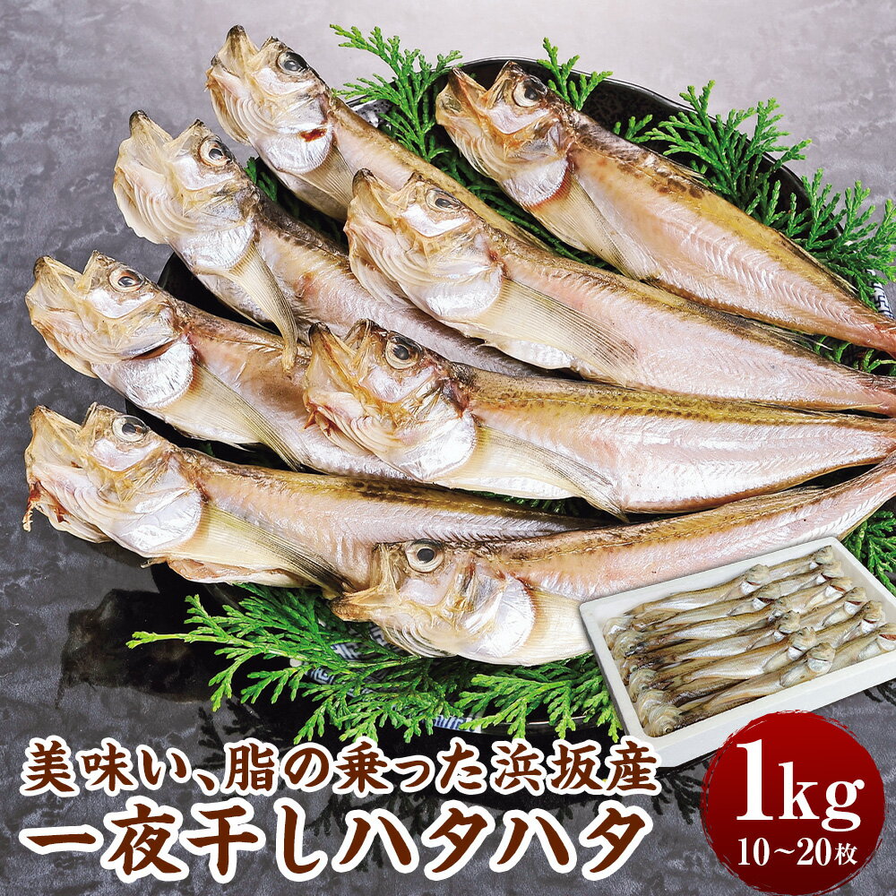 【ふるさと納税】美味い、脂の乗った 浜坂産 一夜干し ハタハタ 1.0kg 10～20枚 はたはた 干物 干し魚 干しハタ 干し物 魚介 1kg おつまみ 惣菜 おかず 国産 冷凍 お取り寄せ 兵庫県 新温泉町 送料無料