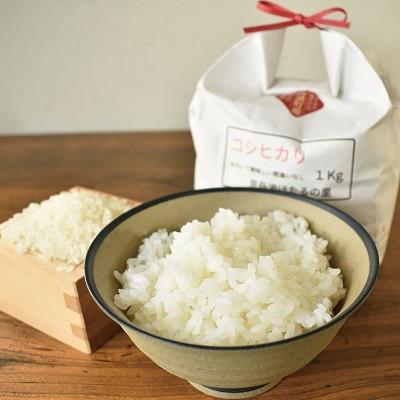 ふるさと納税 京丹波町 「京丹波ほたるの里」のこしひかり・もち米セット(小)　 |  | 02