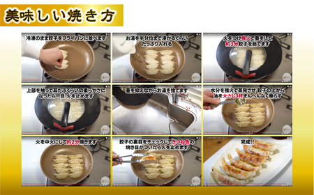 国産素材 冷凍餃子 100個 餃子 餃子