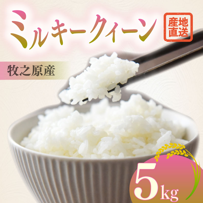 【2026年度産】先行予約 新米 ミルキークイーン 5kg お米 米 白米 おこめ 米 農家直送 産地直送 静岡県 牧之原 大塚ファーム