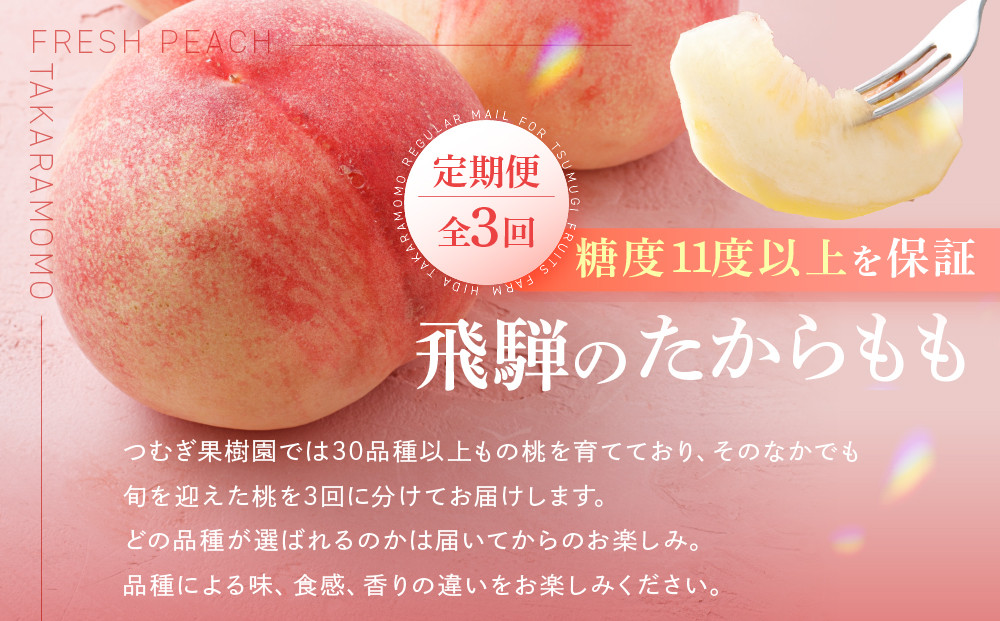 【数量限定/先行予約】≪定期便3回≫ 飛騨のたから桃 食べ比べ定期便4～8玉 糖度11度以上｜7月・8月・9月にお届け！ 桃 おまかせ 旬 果物 飛騨高山 厳選 産直 つむぎ果樹園 GH105
