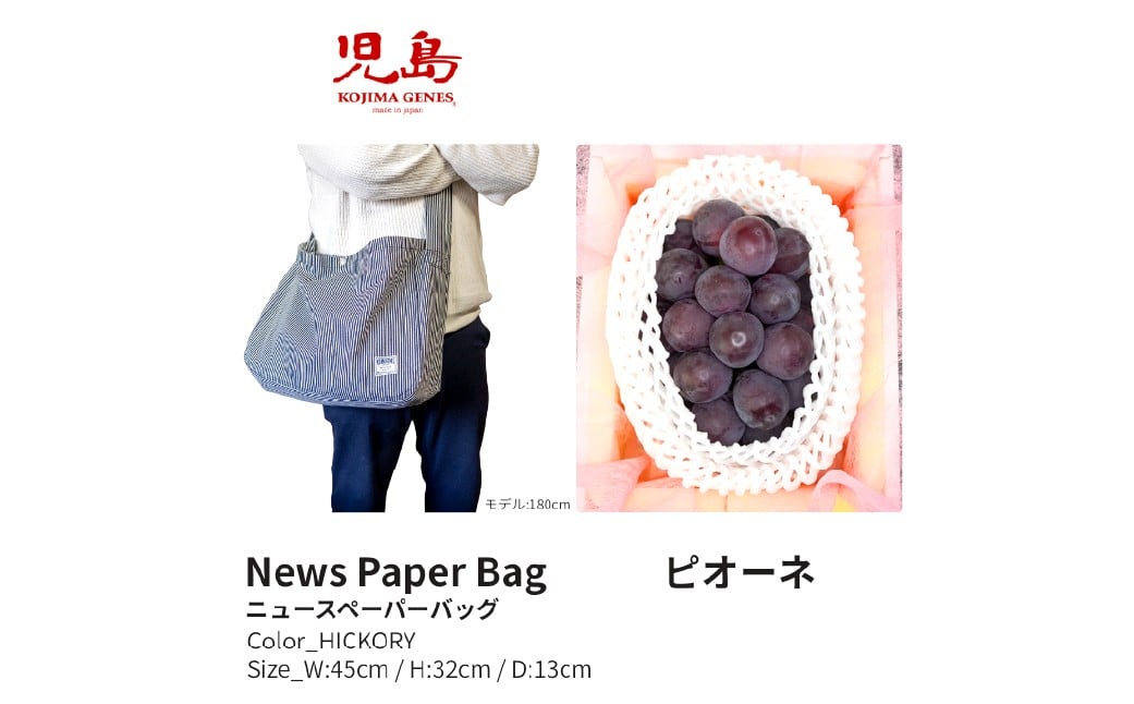 
            【年2回定期便】 家庭用 ピオーネ 2房（1房約530g以上）＋ NEWS PAPER BAG（Hickory） フルーツ 果物 ブドウ ぶどう 葡萄 国産 ギフト 贈答 【2026年6月上旬～9月下旬まで発送予定】
          
