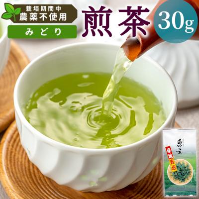 ふるさと納税 東白川村 栽培期間中 農薬不使用! 煎茶 みどり 30g 常磐園 日本茶 緑茶 煎茶