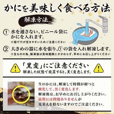 ふるさと納税 登別市 「かに」しゃぶ!生ずわいがにの足むき身を500g　15本〜25本 |  | 02