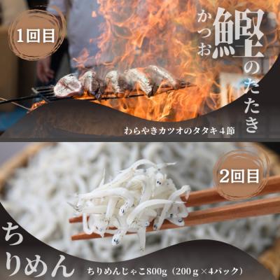 ふるさと納税 田野町 【四国一小さなまち】《カネアリ水産》魚屋のうまいものづくし 6ヶ月定期便 |  | 01