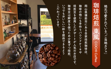 自家焙煎　東風コーヒー豆100g×3点セット